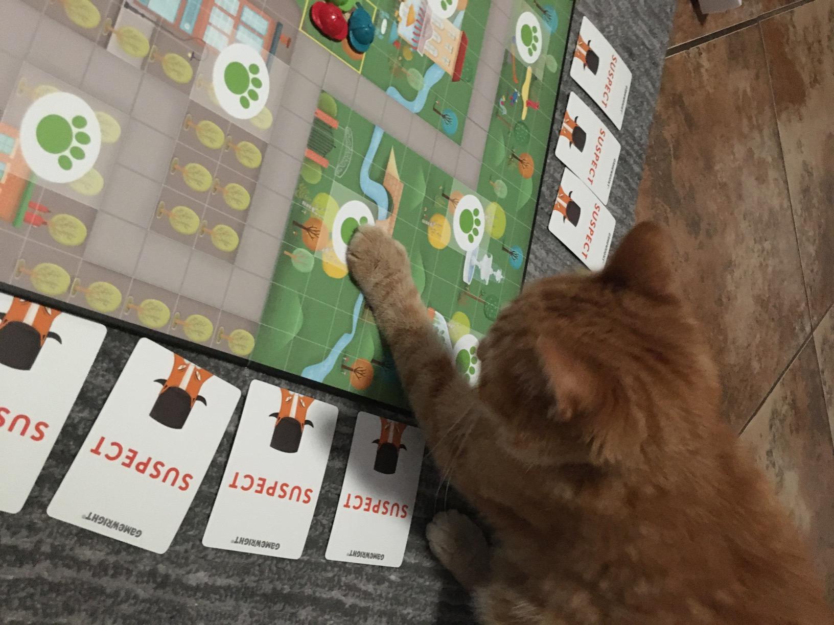 Outfoxed Board Game Customer Review 8